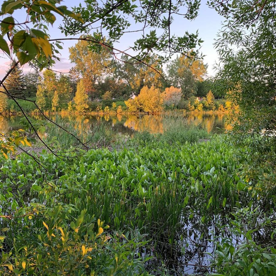 Le 315b Locations Vieux Limoilou Ville de Québec